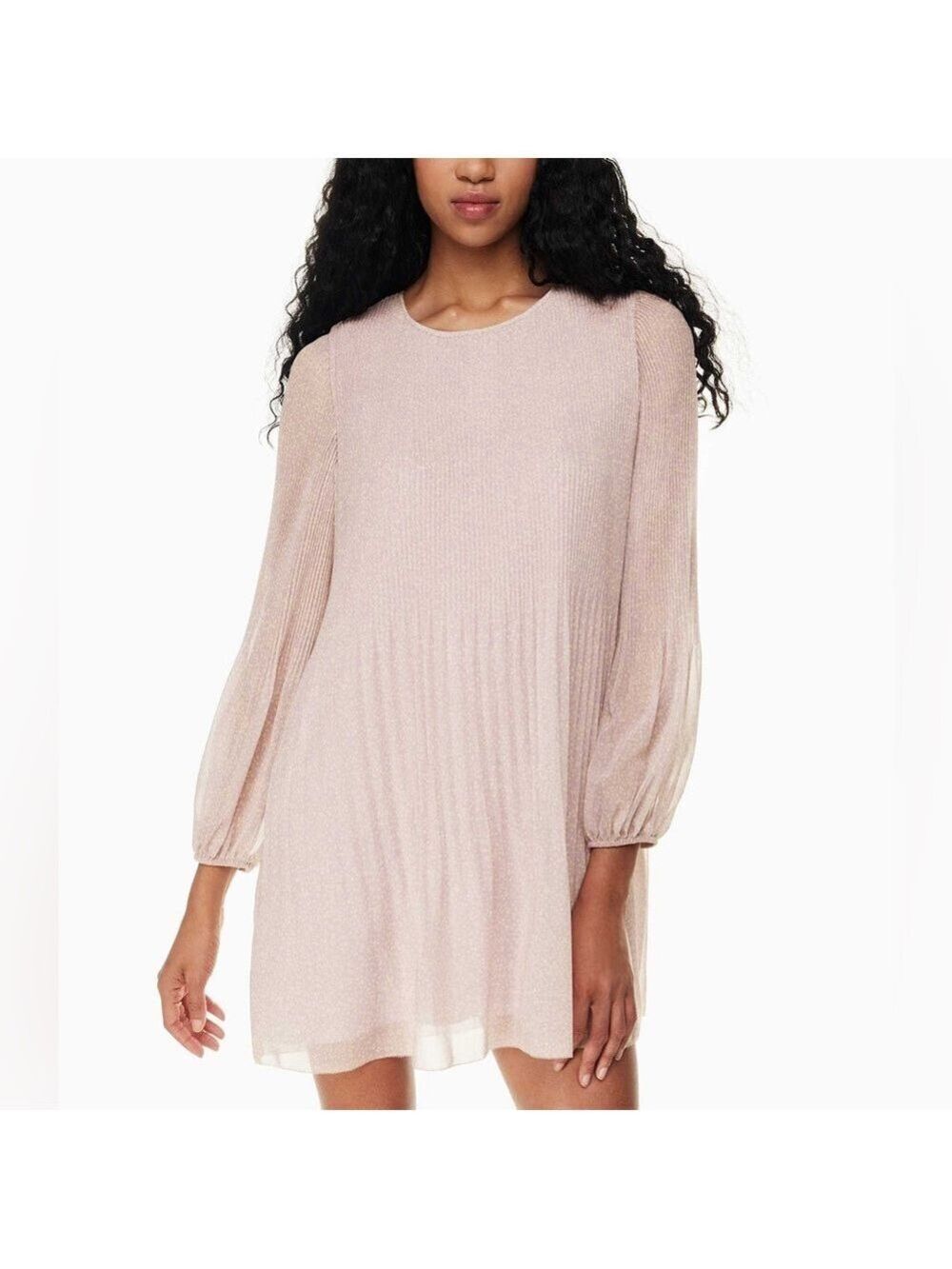 Wilfred Aritzia Daydreamer Mini Pleated chiffon Long sleeve Flowy mini dress